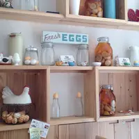 eggcellent（エッグセレント）の写真・動画_image_71453