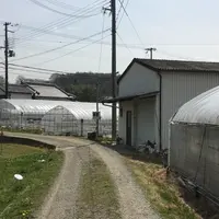 二郎いちご狩の写真・動画_image_71612