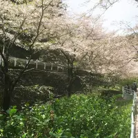 飯山観音前（バス）の写真・動画_image_71680