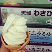 土肥特産市『ありがとう』＆レンタサイクルの写真・動画_image_7169