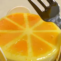 オクシタニアルの写真・動画_image_71753