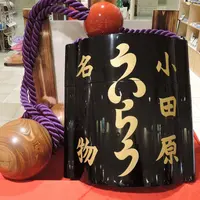 小田原宿なりわい交流館の写真・動画_image_71945