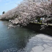 小田原宿なりわい交流館の写真・動画_image_71948