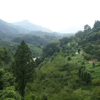 ドーシェルの写真・動画_image_7210