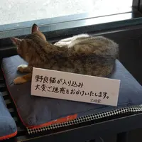 文明堂総本店 南山手店の写真・動画_image_7212