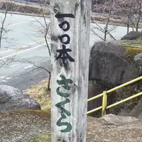 月廻り温泉館の写真・動画_image_72220