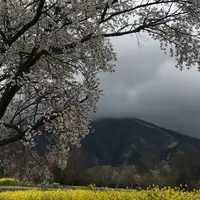 高森温泉館の写真・動画_image_72222