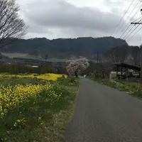 高森温泉館の写真・動画_image_72223