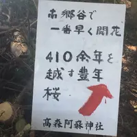 高森阿蘇神社の写真・動画_image_72225