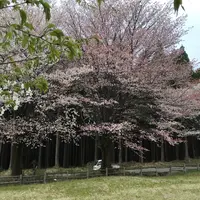 高森町 鍋の平キャンプ場の写真・動画_image_72235