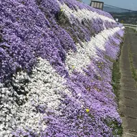 あそ望の郷くぎのの写真・動画_image_72379