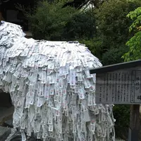 安井金比羅宮の写真・動画_image_72507