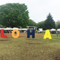 光が丘公園の写真・動画_image_72709