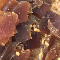 総本舗白酒屋の写真・動画_image_72714