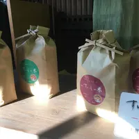 一粒茶屋  すいしゃの写真・動画_image_72721