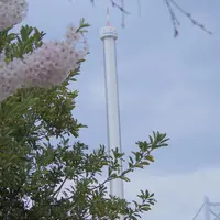 瀬戸大橋記念公園の写真・動画_image_72747