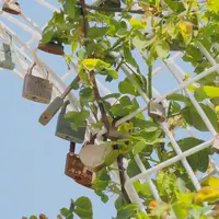 うたづ臨海公園の写真・動画_image_72754