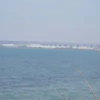 うたづ臨海公園の写真・動画_image_72755