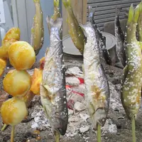 祖谷のかずら橋の写真・動画_image_72952