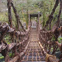 奥祖谷二重かずら橋の写真・動画_image_72955