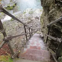 奥祖谷二重かずら橋の写真・動画_image_72959