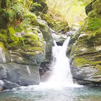 奥祖谷二重かずら橋の写真・動画_image_72960