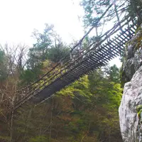 奥祖谷二重かずら橋の写真・動画_image_72961