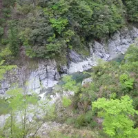 そば 祖谷美人の写真・動画_image_72963