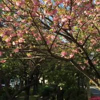 古川親水公園の写真・動画_image_73497