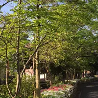 古川親水公園の写真・動画_image_73498