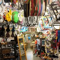 Gira Gira Chariyaの写真・動画_image_73577