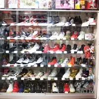 スキット（スニーカー）の写真・動画_image_73586