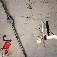 スキット（スニーカー）の写真・動画_image_73590