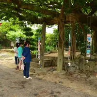 柏島の写真・動画_image_73613
