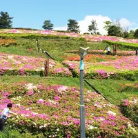 湘南国際村センターの写真・動画_image_73618