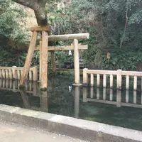 鹿島神宮の写真・動画_image_73625