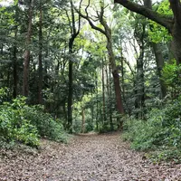 明治神宮の写真・動画_image_73650