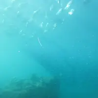 串本海中公園の写真・動画_image_736802