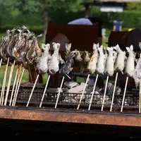 道の駅 どうしの写真・動画_image_73684