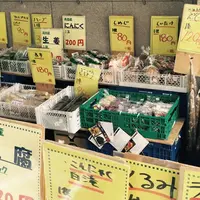 野菜の写真・動画_image_73720