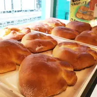 【閉業】神楽坂 亀井堂の写真・動画_image_73869