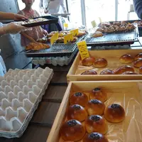 ｎｉｓｈｉｐａｎの写真・動画_image_74000