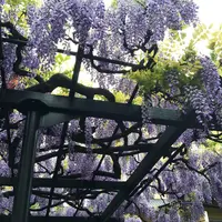 善国寺の写真・動画_image_74032