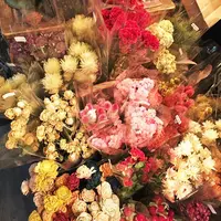 ドライフラワーriche 神楽坂の写真・動画_image_74087