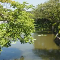 鶴岡八幡宮の写真・動画_image_7413