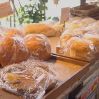 【閉業】カフェ ルポの写真・動画_image_74403