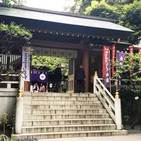 東京大神宮の写真・動画_image_74429