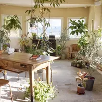 ブーランメリーメゾンツジの写真・動画_image_74488