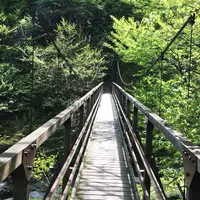 尾白川渓谷の写真・動画_image_74670