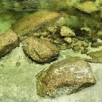 尾白川渓谷の写真・動画_image_74671